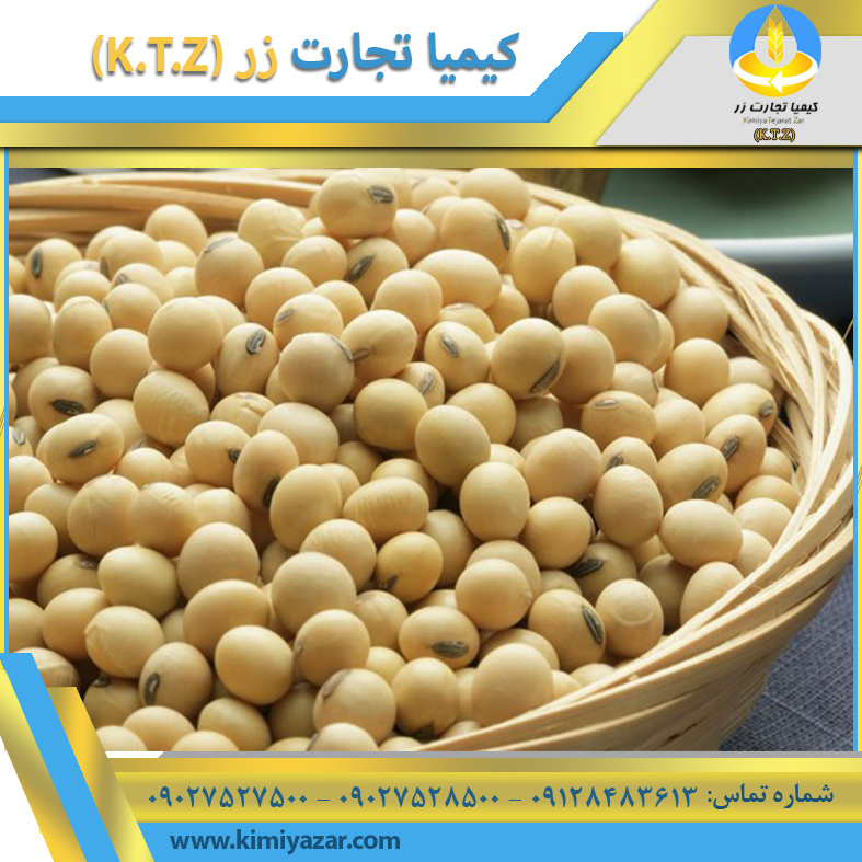 دانه سویا گلستان