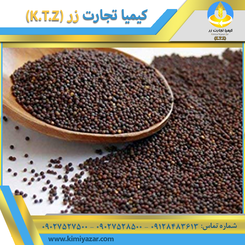دانه کلزا اردبیل