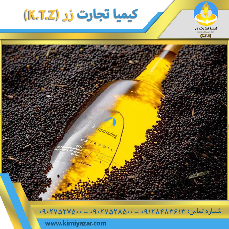 دانه کلزا روس بندر امیرآباد