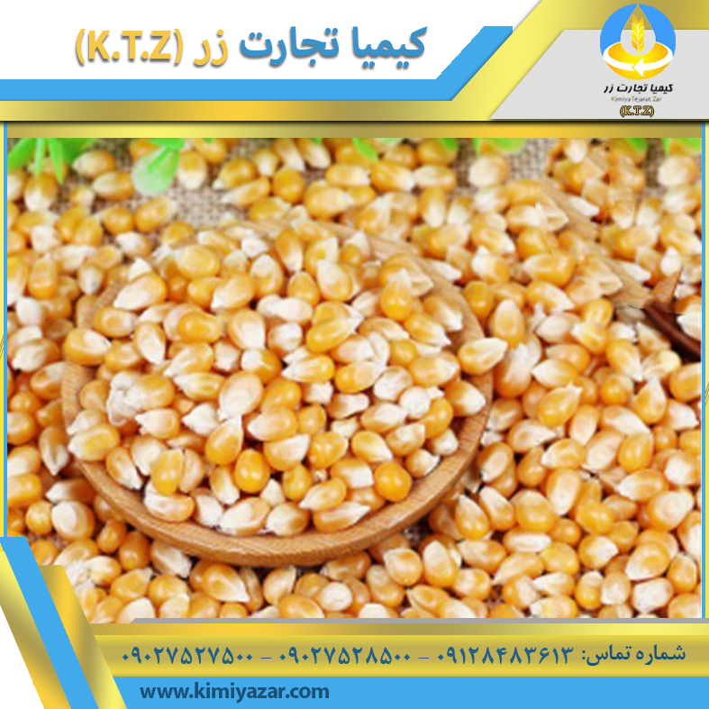 ذرت استرالیا