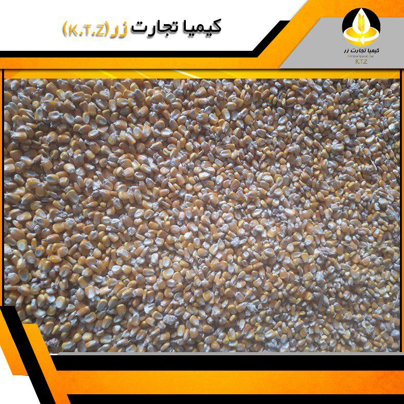 ذرت داخلی کرمانشاه