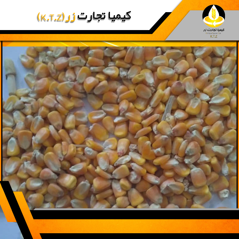 ذرت داخلی هرمزگان