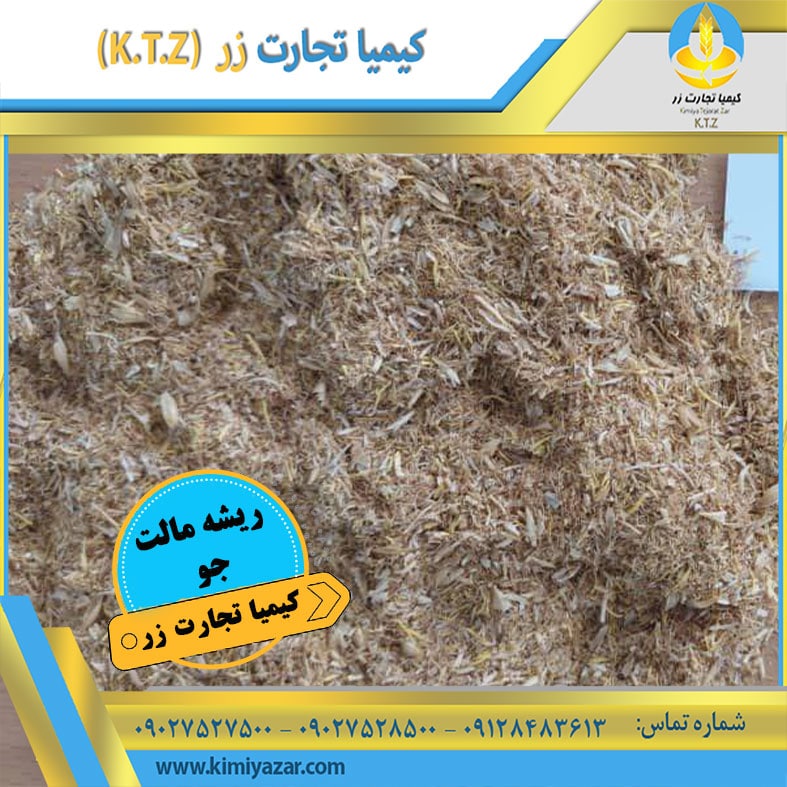 ریشه مالت جو