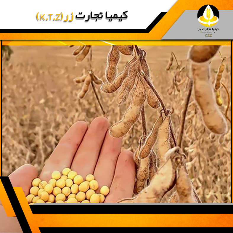دانه سویا اکراین