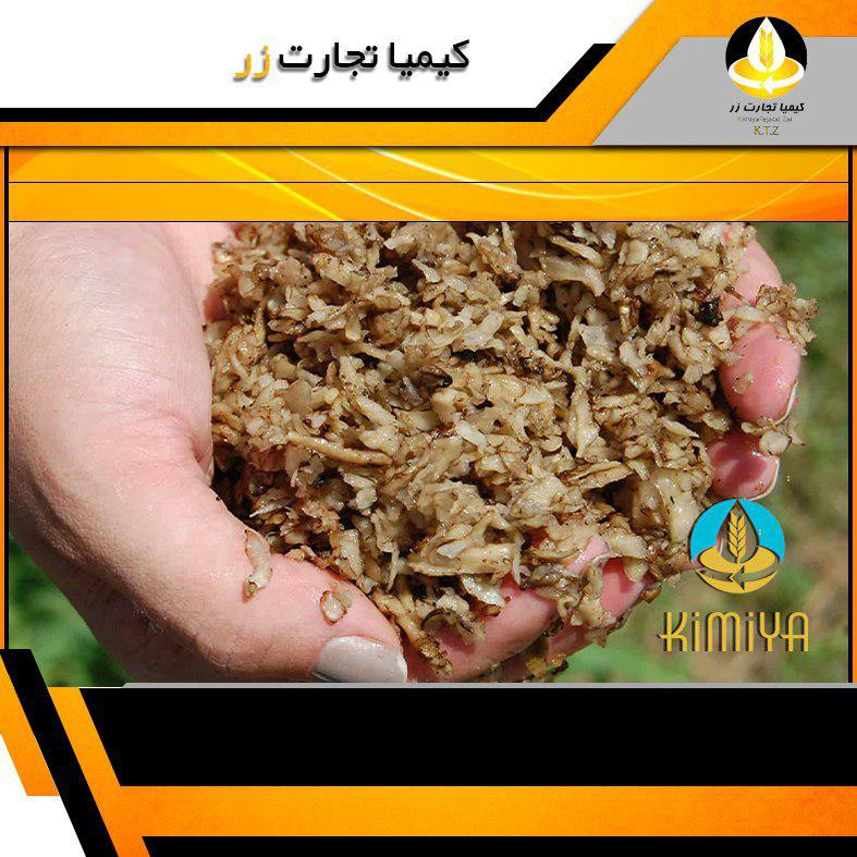 تفاله چغندر ارومیه