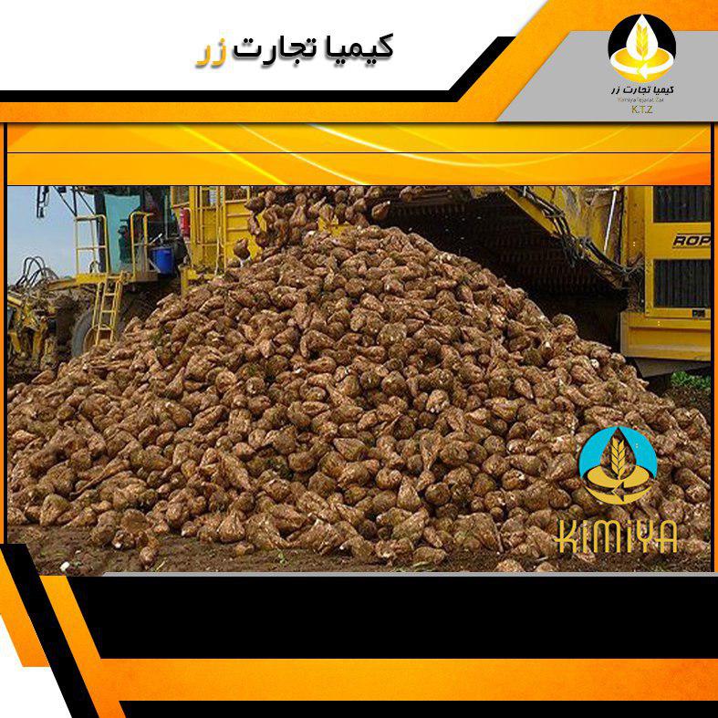 تفاله چغندر پرک بیستون