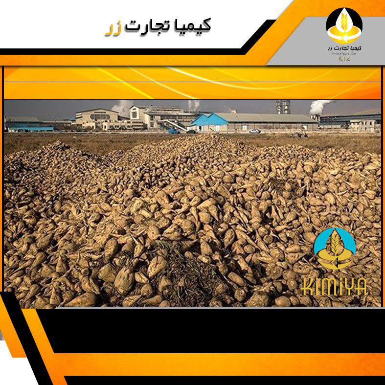 تفاله چغندر پرک خوی