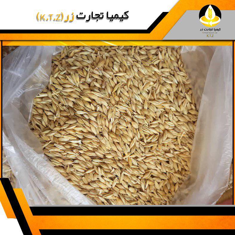 جو اکراین بندر امام