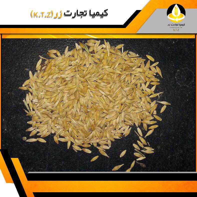 جو داخلی سمنان