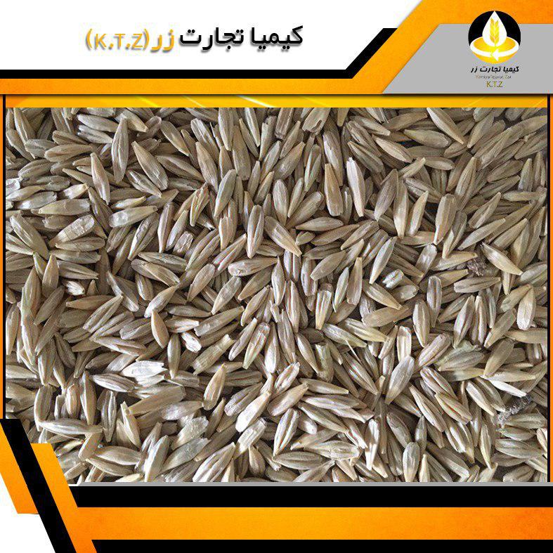جو داخلی شهرکرد
