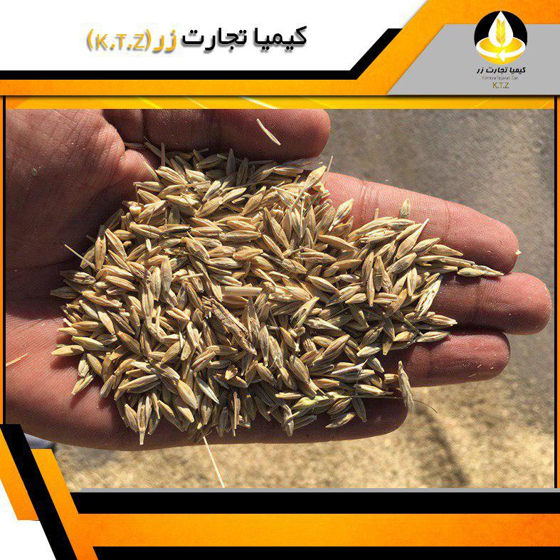 جو داخلی قزوین