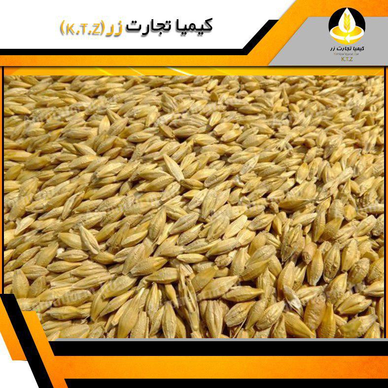 جو آرژانتین بندر امام