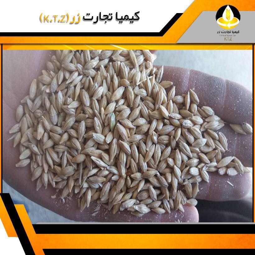 جو روس بندر آستارا