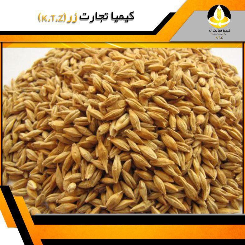 جو روس بندر نوشهر