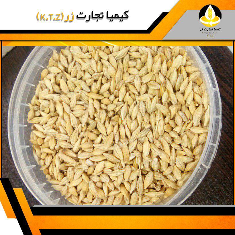 جو خارجی قزاق مشهد
