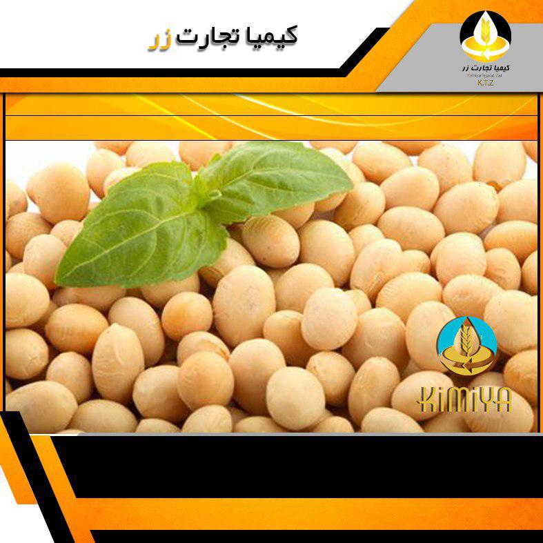 دانه سویا آرژانتین