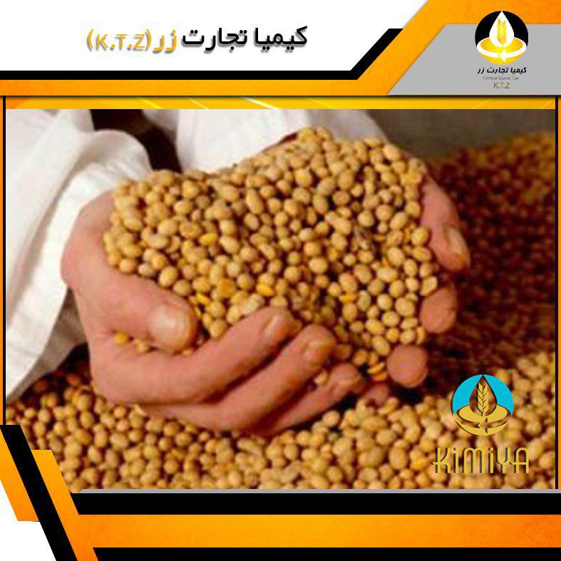 دانه سویا اکراین