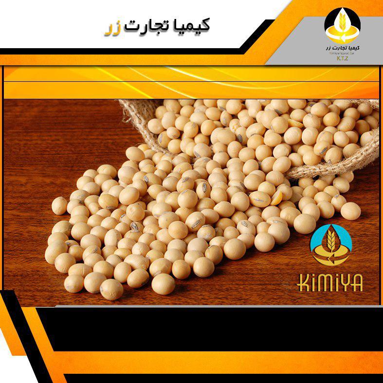 دانه سویا برزیل 