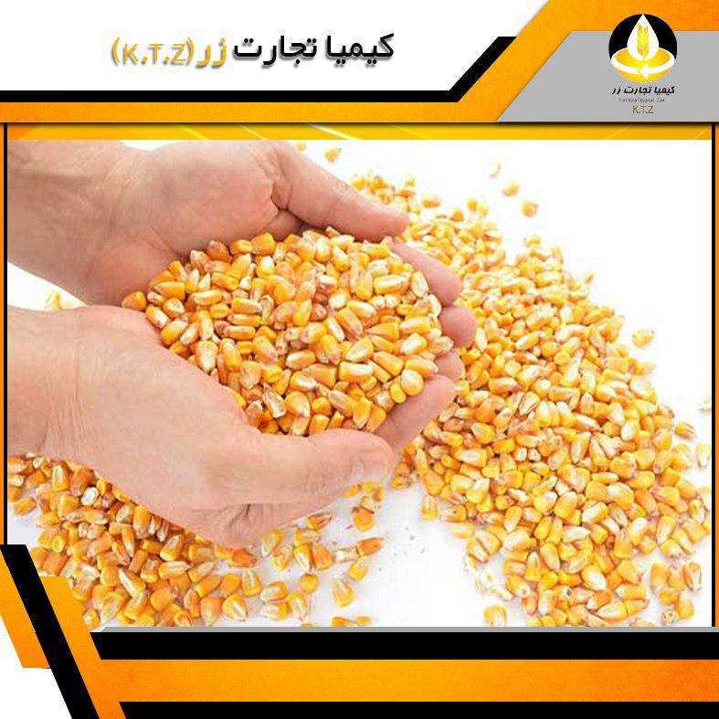 ذرت اوکراین بندر امام