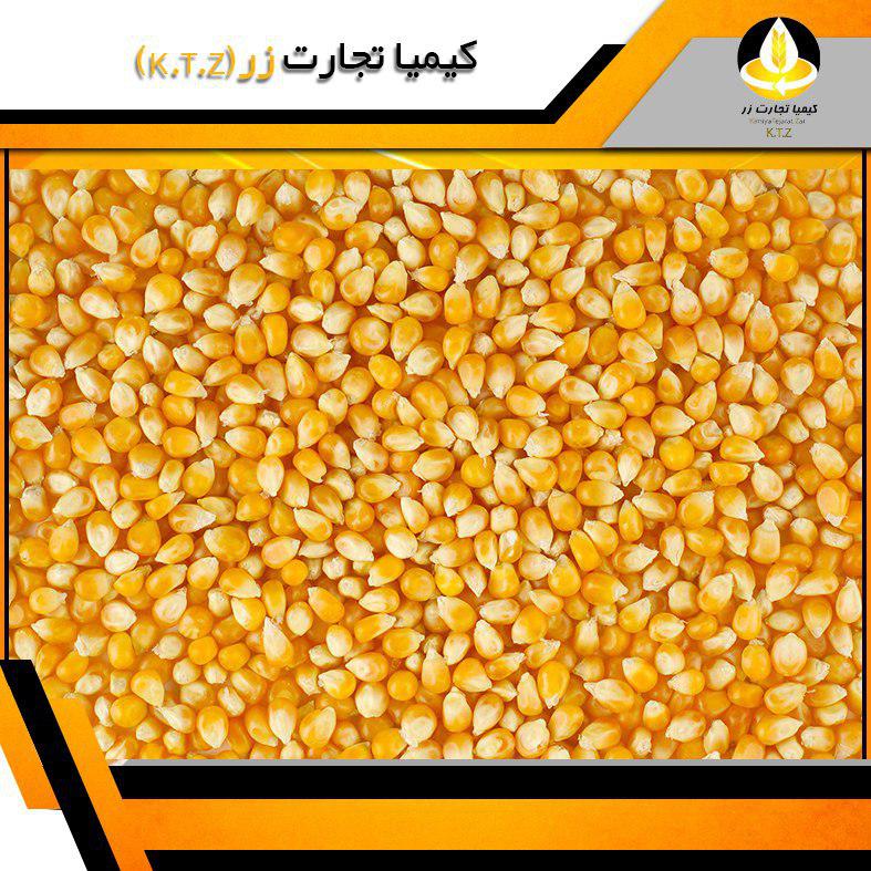 ذرت اکراین کرج