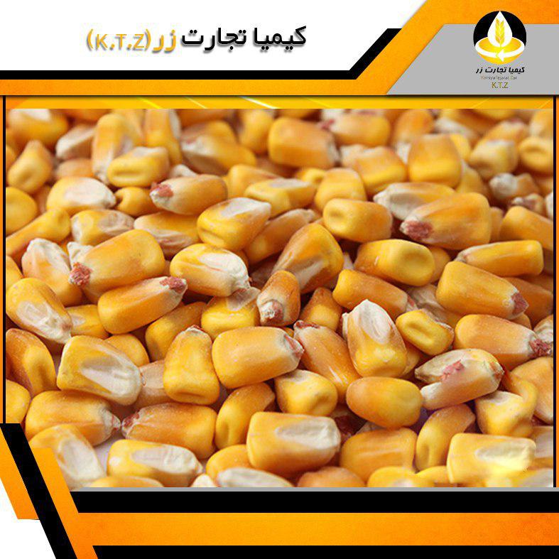ذرت داخلی دزفول