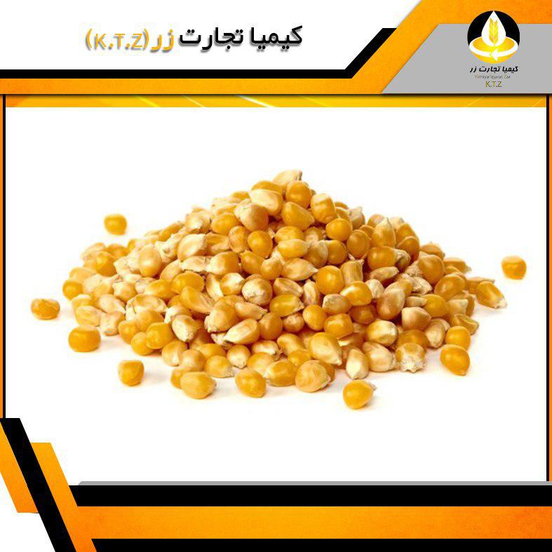 ذرت رومانی
