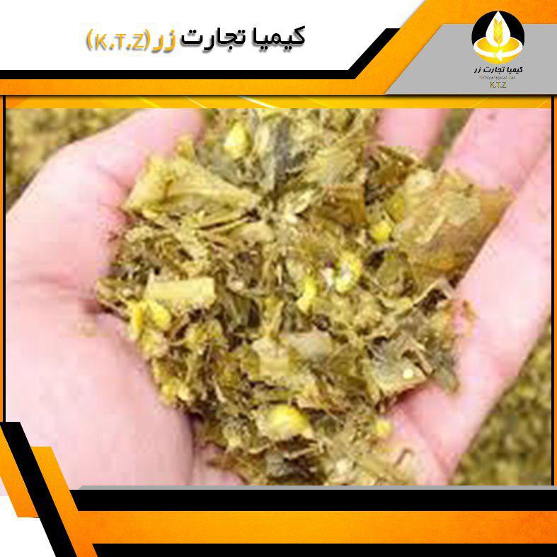 ذرت علوفه تخمیر