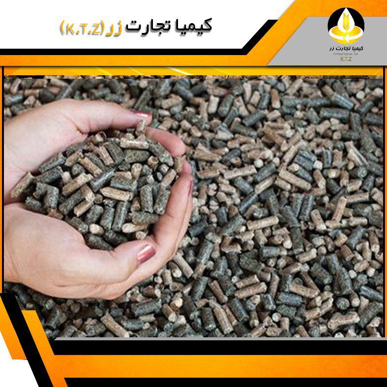 کنجاله کلزا بین گرگان