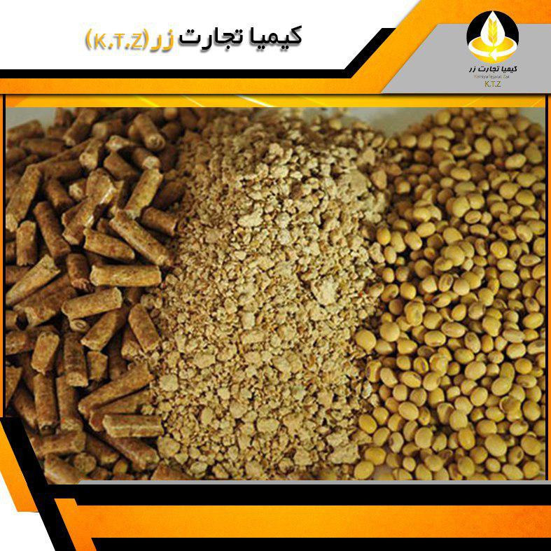 کنجاله کلزا پلت گچساران