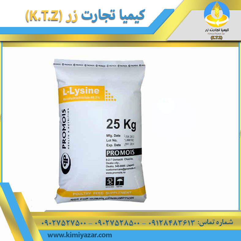 لیزین دگوسا