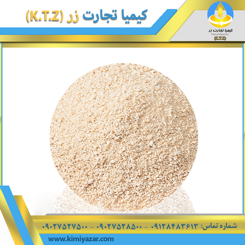 لیزین دگوسا