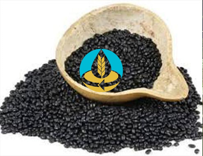 ملاس چغندر کرمانشاه