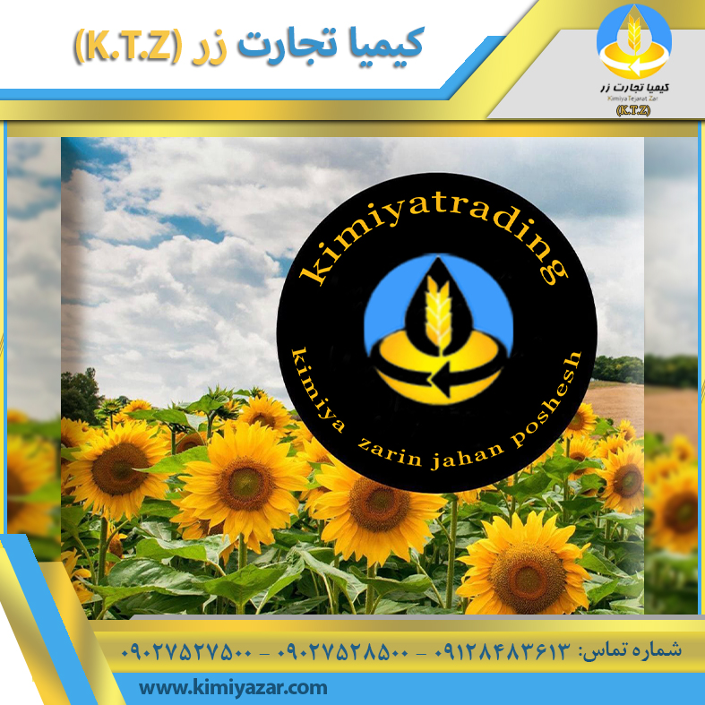 کنجاله آفتابگردان روسیه آستارا