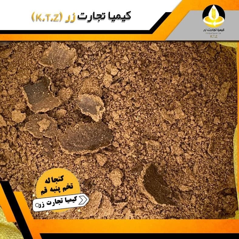 کنجاله تخم پنبه قم