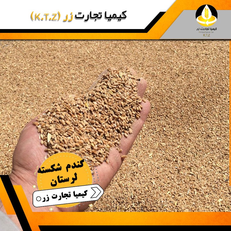 دانه مرغی لرستان