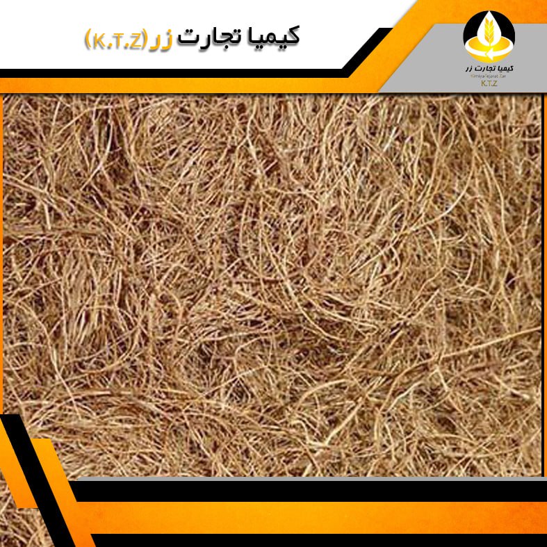 یونجه وارداتی اسپانیا