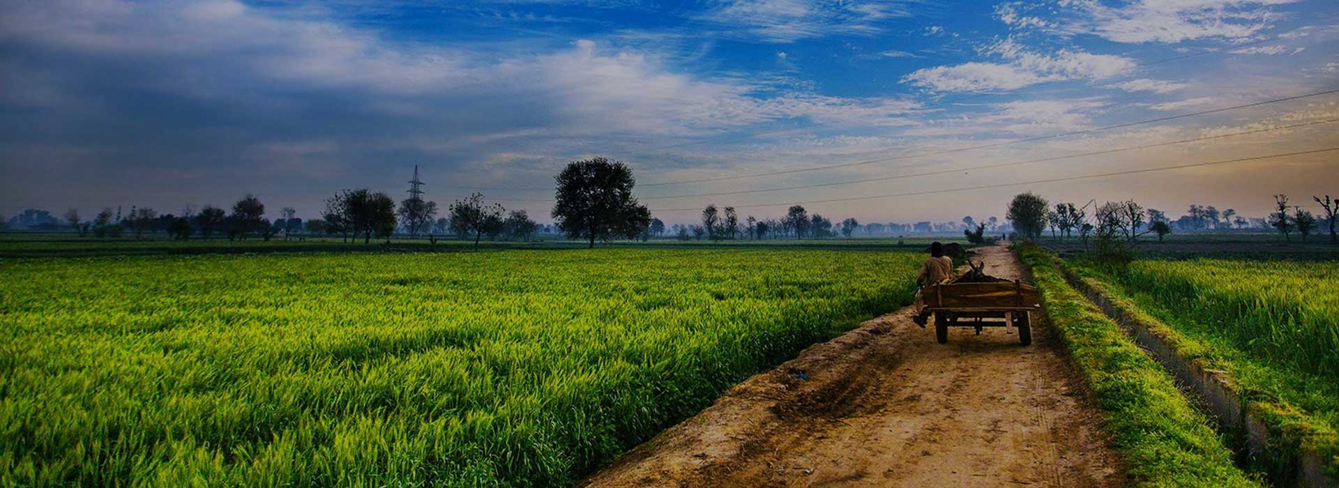 شرکت خدماتی کیمیا زرین جهان پوشش